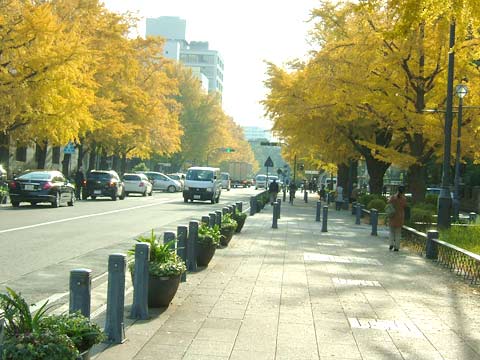 日本大通り