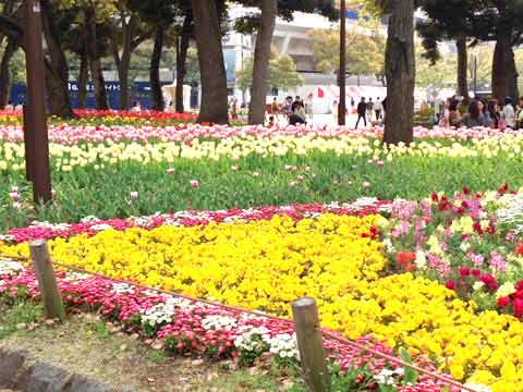 横浜公園